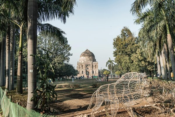 Comment organiser un camping pour une expédition de randonnée dans les montagnes Rocheuses?